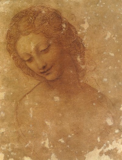 Head of Leda, Sforza Castle by Leonardo da Vinci